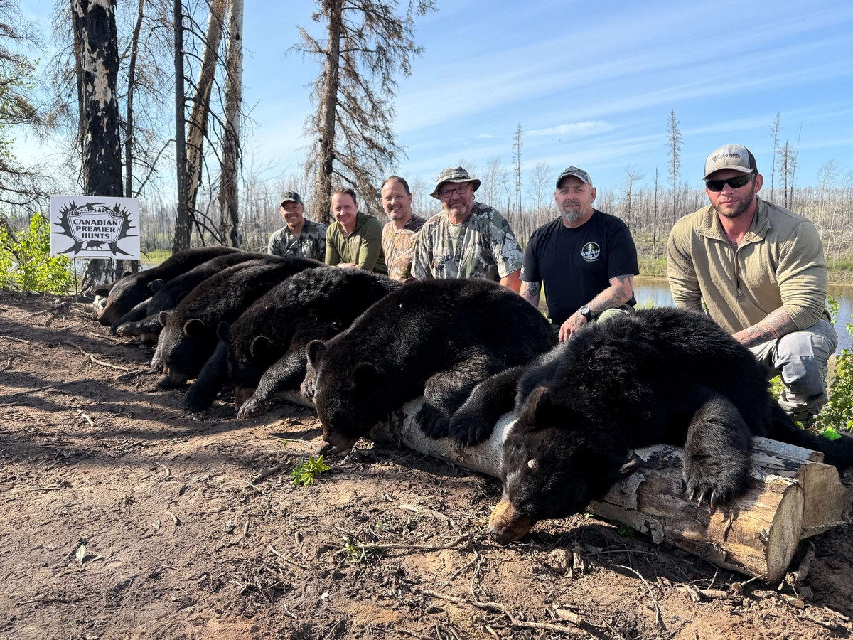 Guided black bear hunts in Alberta, Canada, with Canadian Premier Outfitters